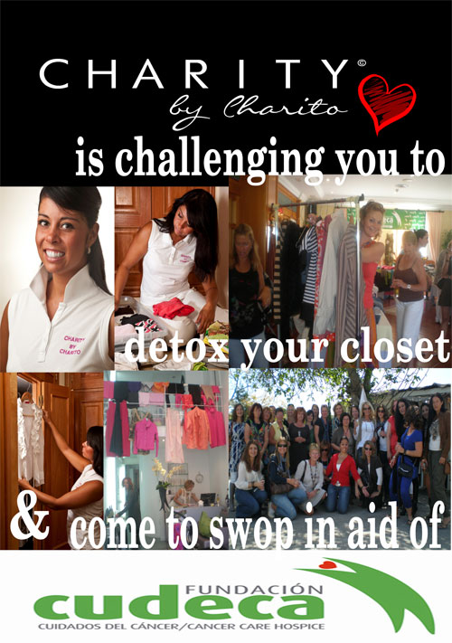 click on image for PDF version